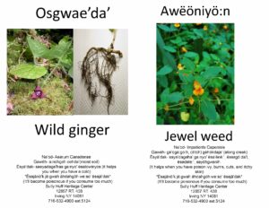 Gano Nyok The Thanksgiving Address Seneca Language